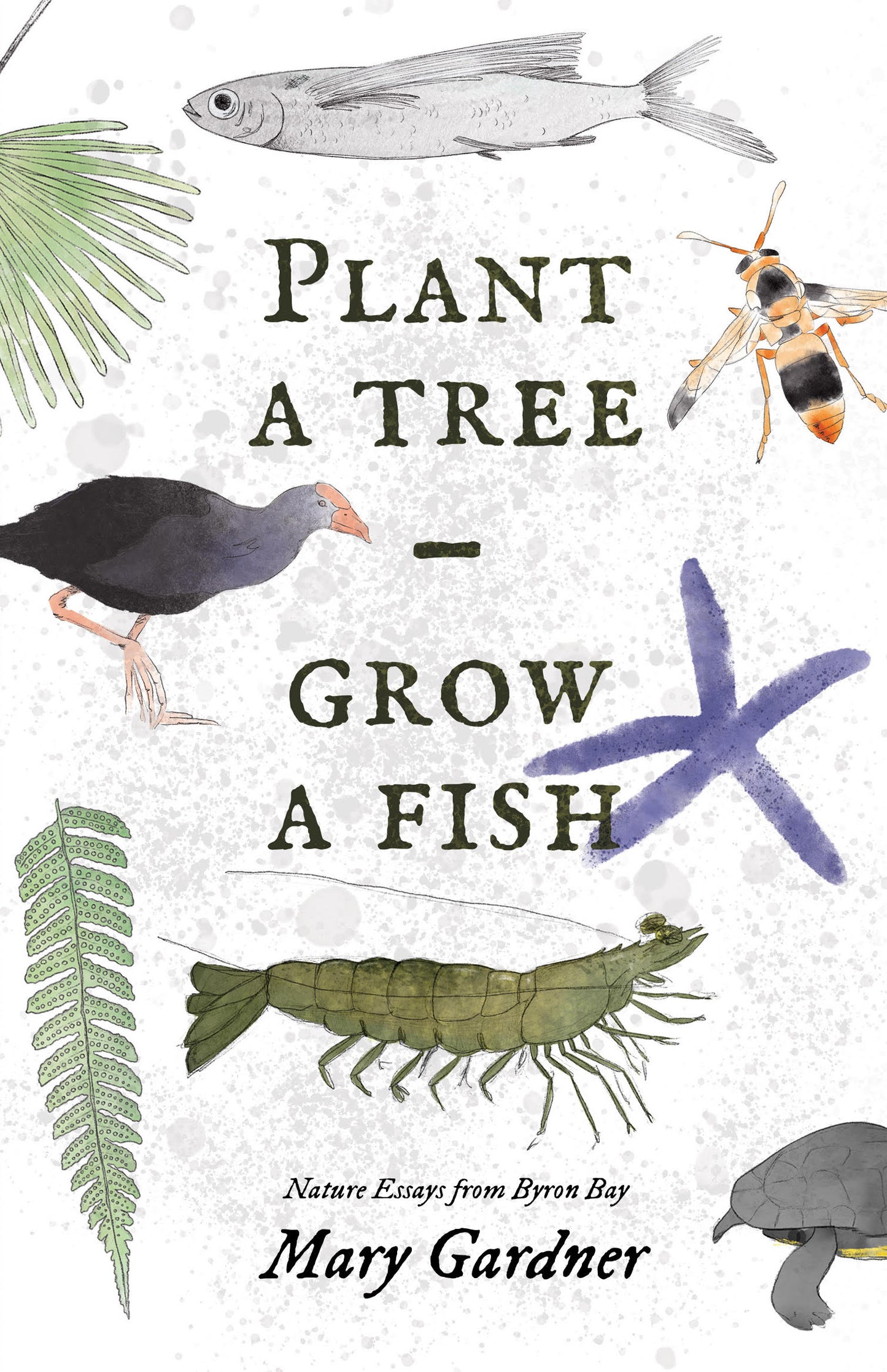 Nature Essays from Byron Bay