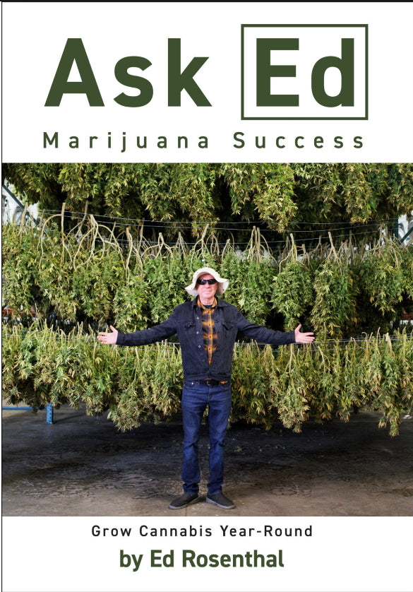 Ask Ed: Marijuana Success: by Ed Rosenthal