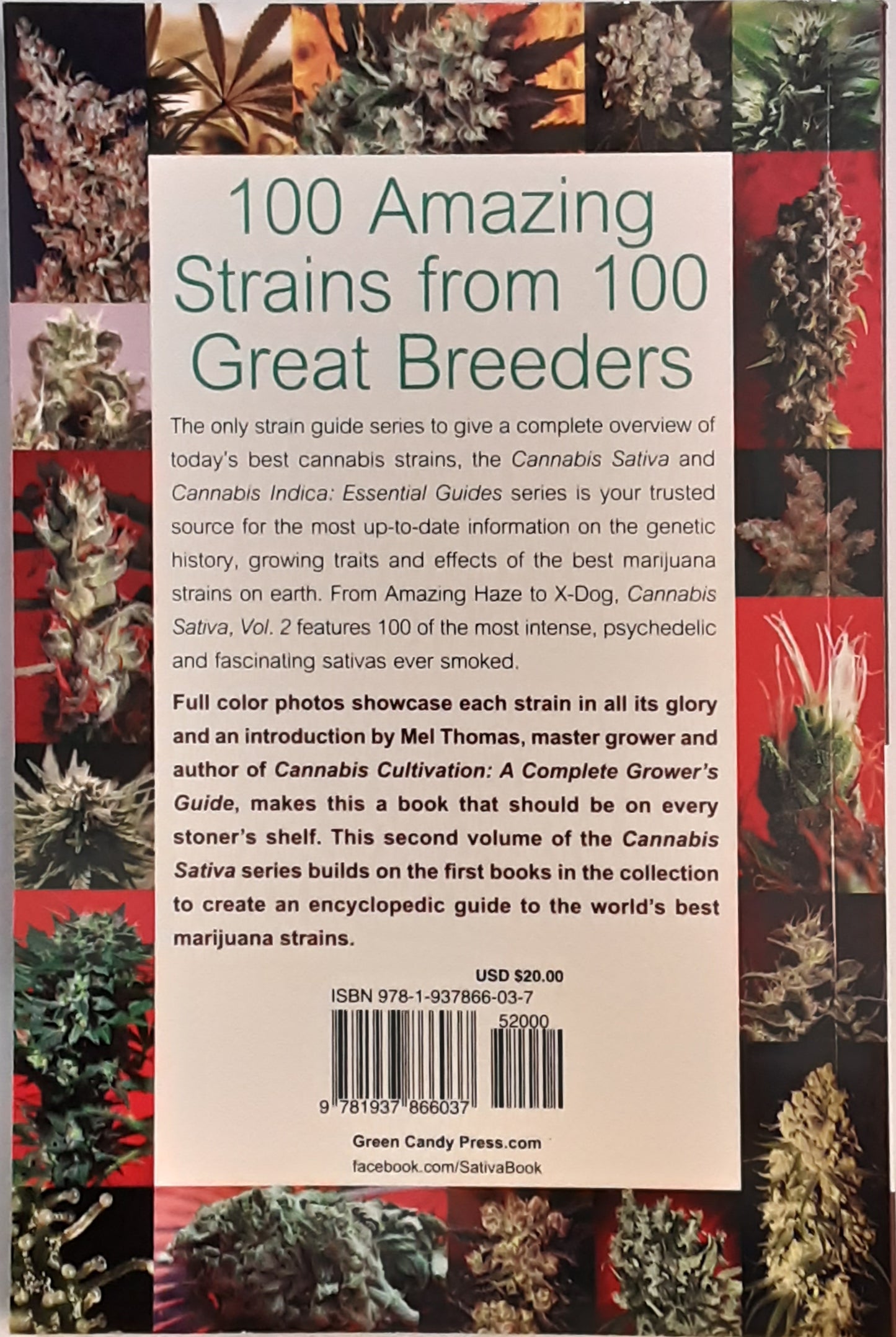 Cannabis Sativa Volume 2 by S.T. Oner