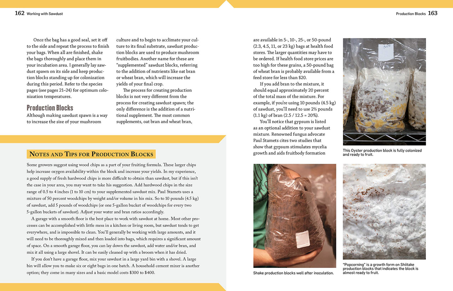 The Essential Guide to Cultivating Mushrooms by Stephen Russell