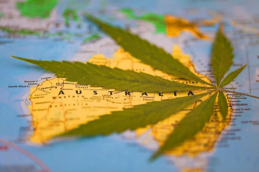Navigating the Green Maze: Unraveling the Challenges of Cannabis Cultivation in Australia