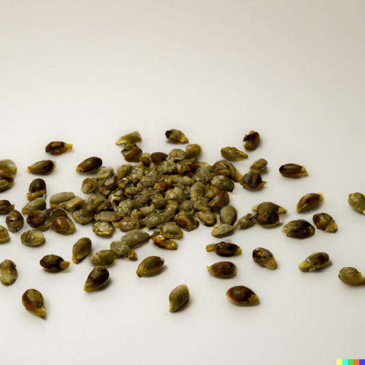 The Benefits of Hemp Seed Oil for Skin Health