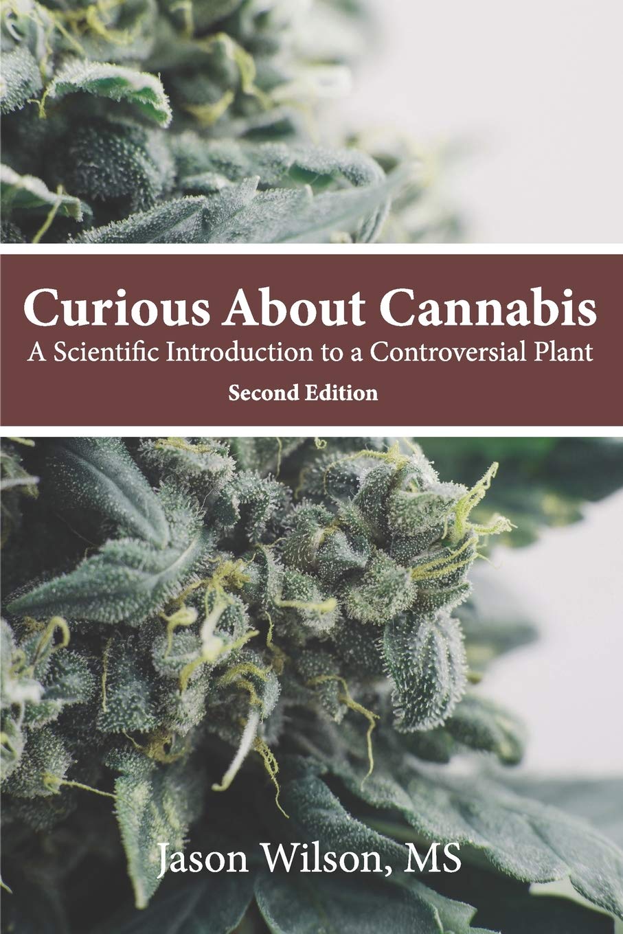 curious about cannabis