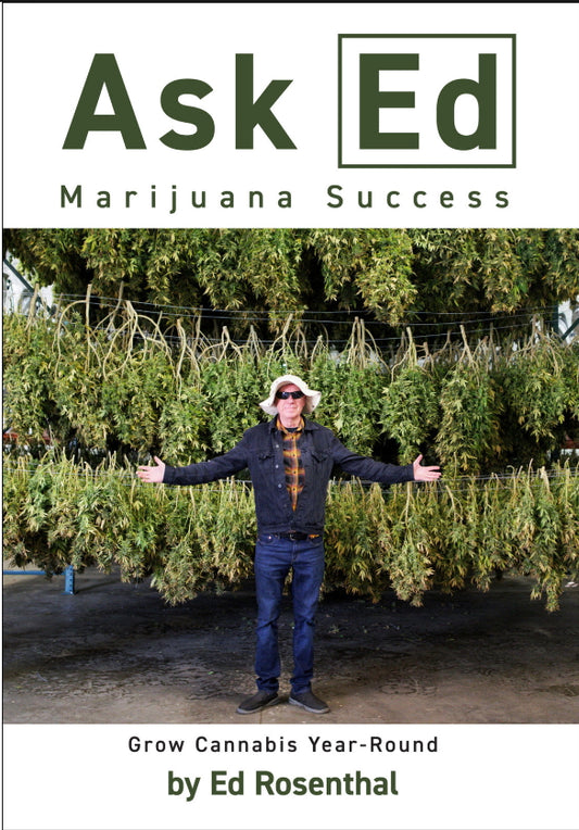 Ask Ed: Marijuana Success: by Ed Rosenthal
