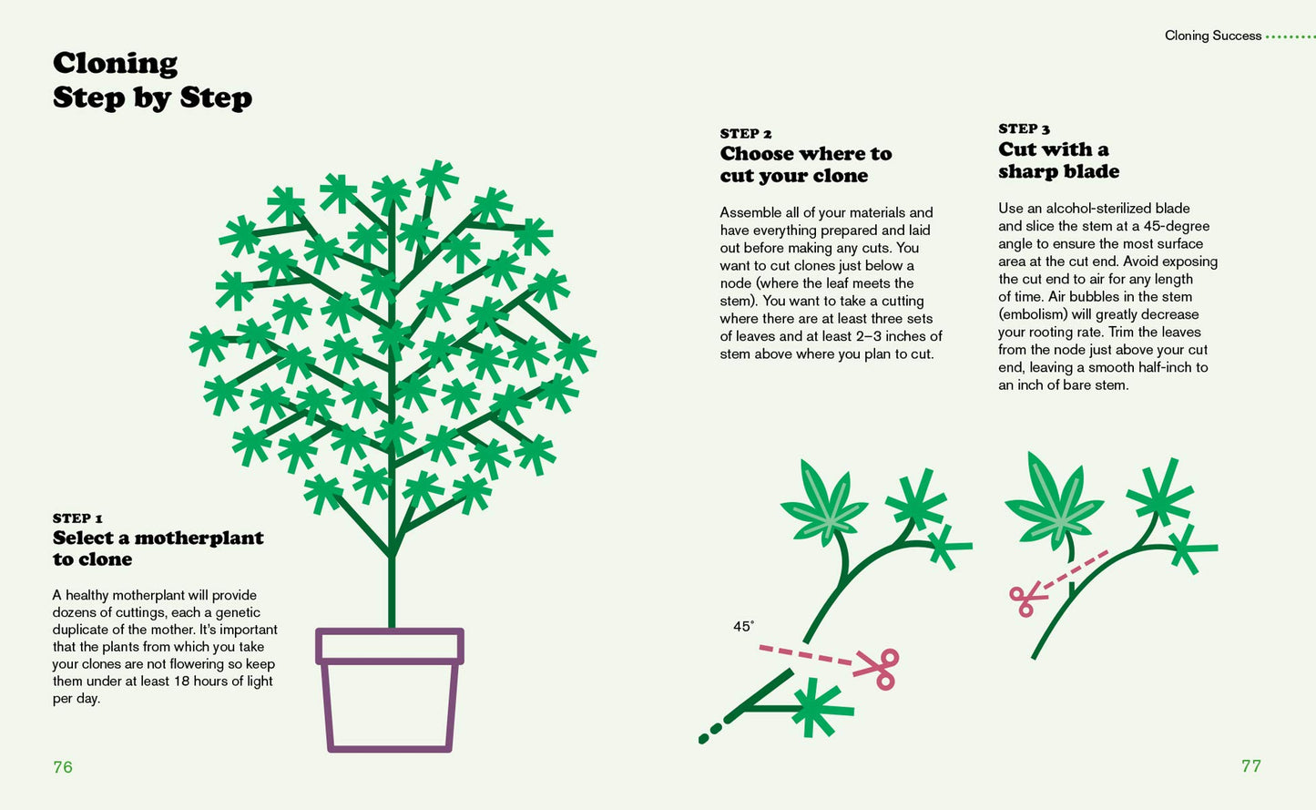 Cannabis: A Beginner's Guide to Growing Marijuana by Danny Danko