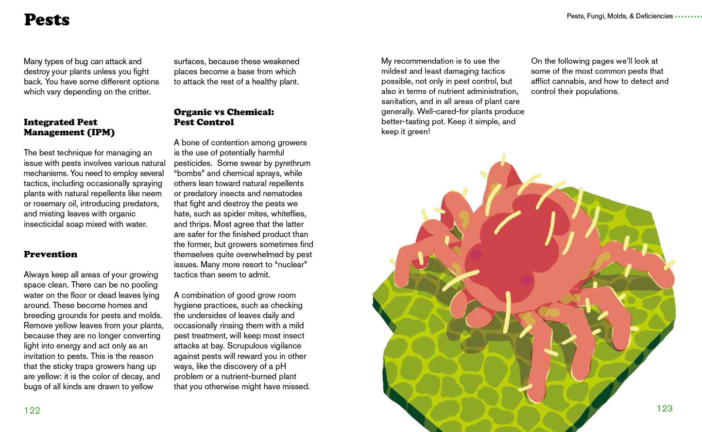 Cannabis: A Beginner's Guide to Growing Marijuana by Danny Danko