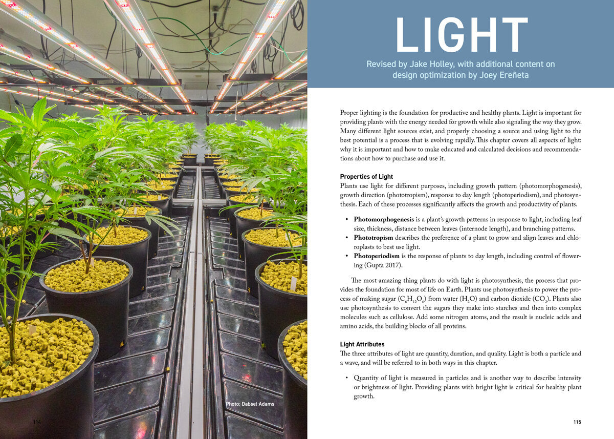 Cannabis Grower's Handbook by Ed Rosenthal
