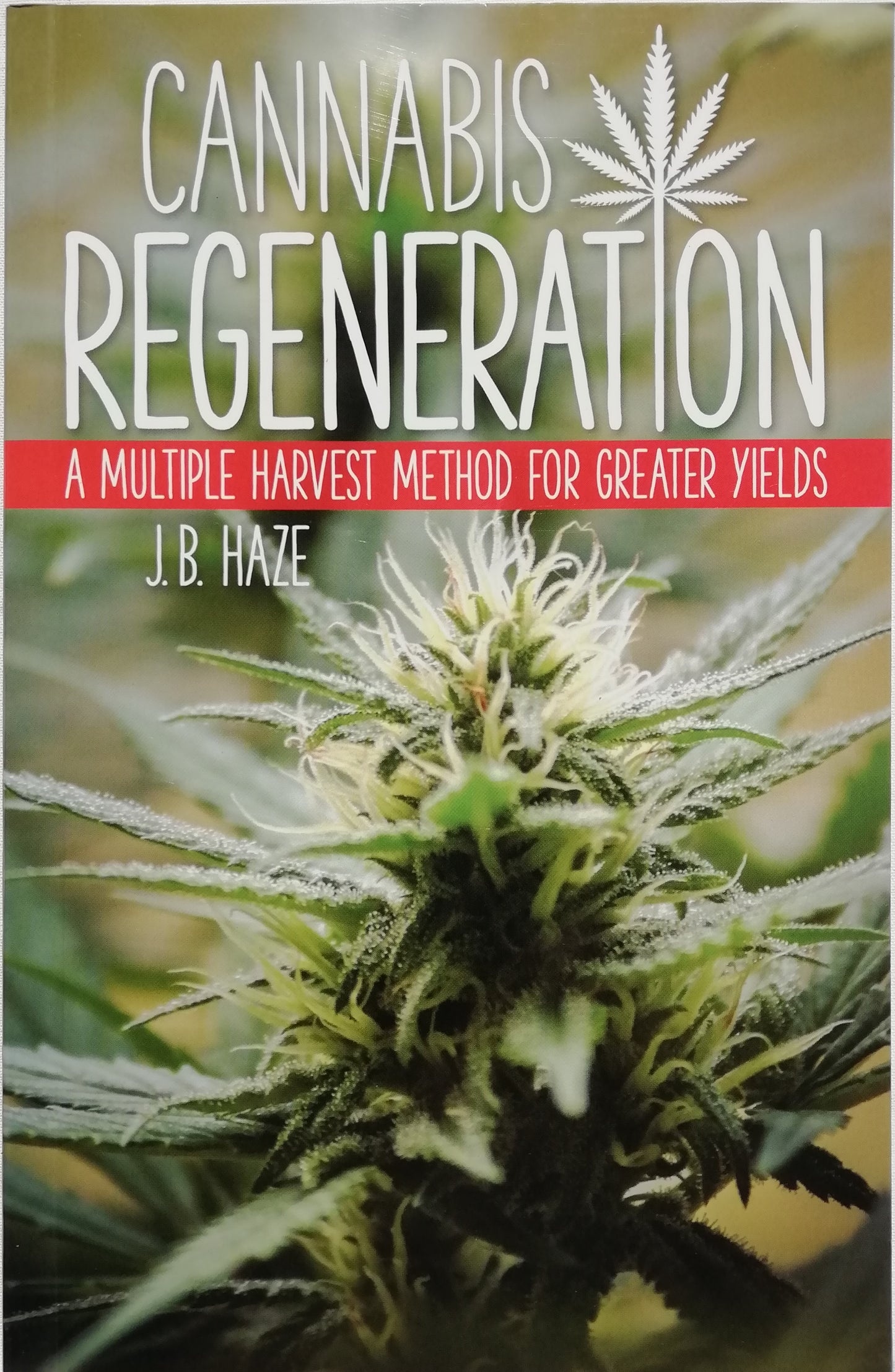 cannabis regeneration
