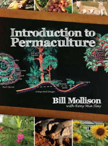 Introduction to Permaculture By Bill Mollison with Reny Mia Slay