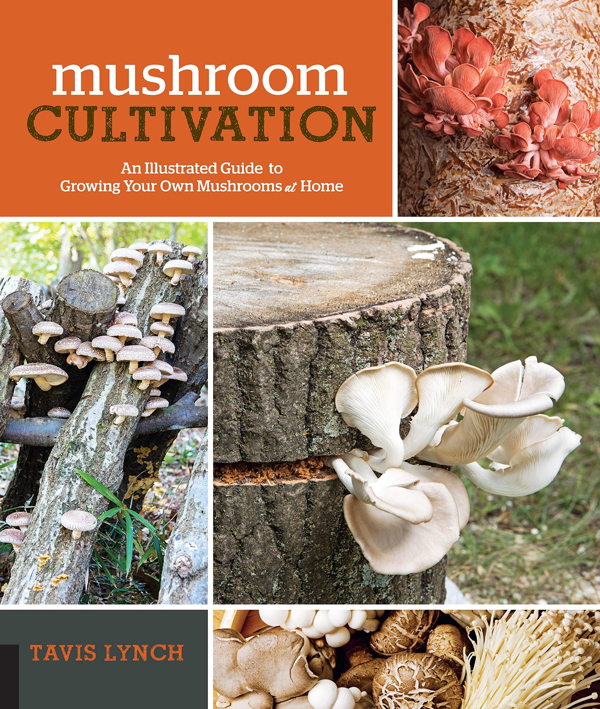 Mushroom Cultivation: An Illustrated Guide to Growing Your Own Mushrooms at Home by Tavis Lynch