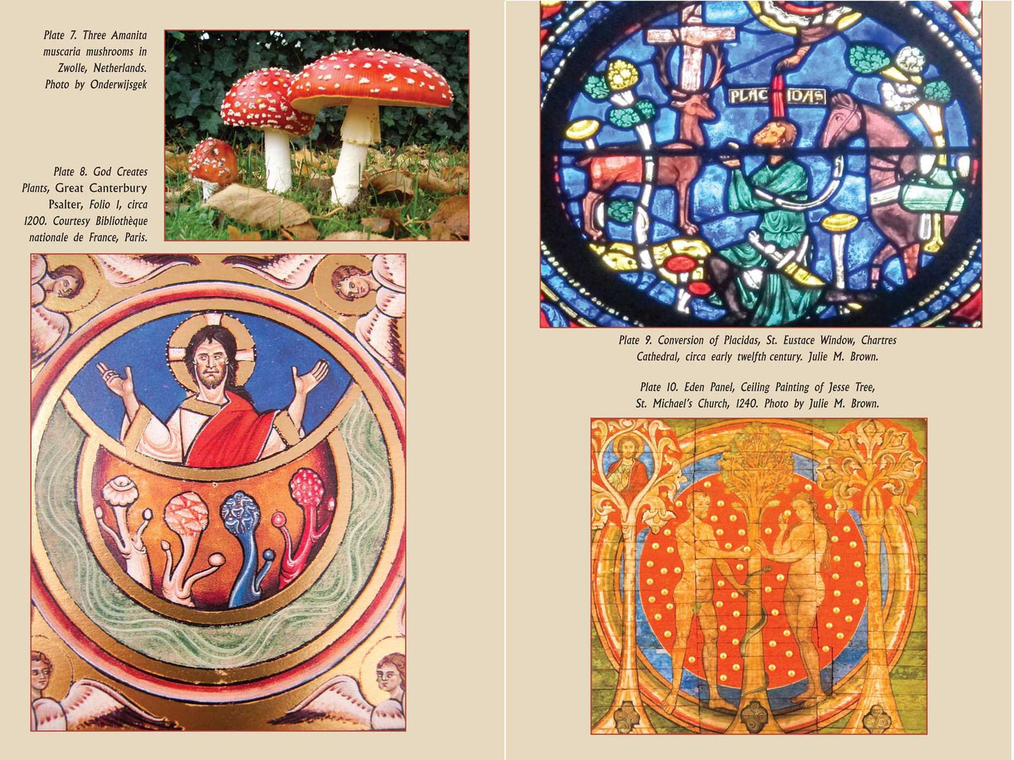 The Psychedelic Gospels: by Jerry B. Brown Ph.D. Julie M. Brown M.A.