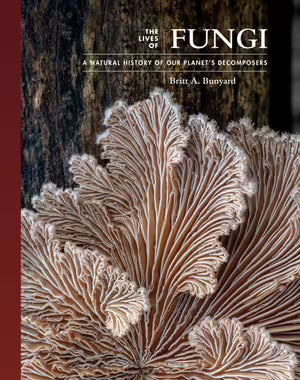 The Lives of Fungi: By Britt Bunyard